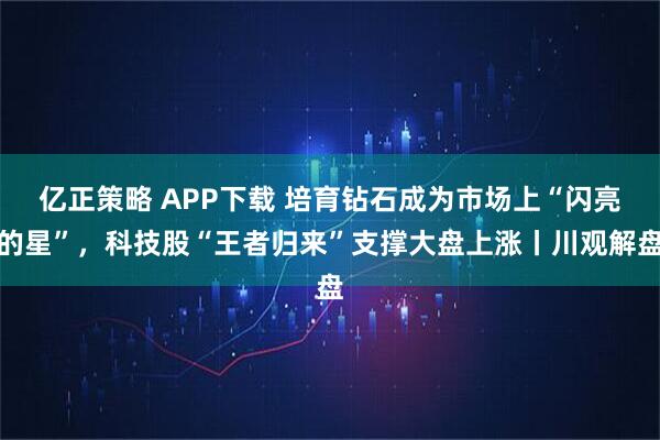 亿正策略 APP下载 培育钻石成为市场上“闪亮的星”，科技股“王者归来”支撑大盘上涨丨川观解盘