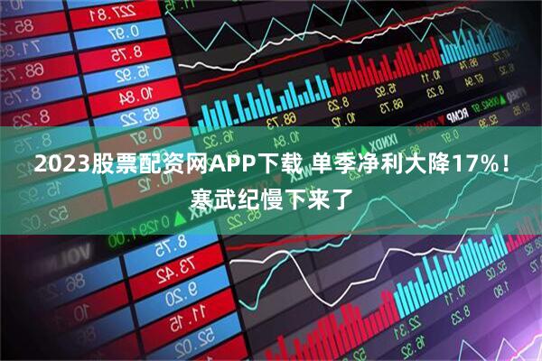 2023股票配资网APP下载 单季净利大降17%！寒武纪慢下来了