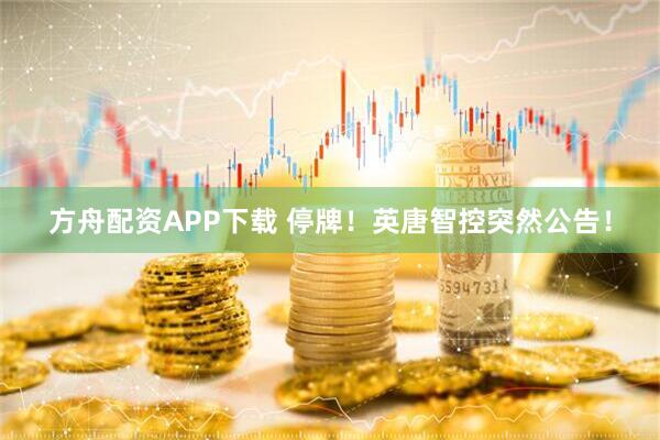 方舟配资APP下载 停牌!英唐智控突然公告!