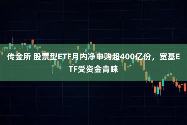 传金所 股票型ETF月内净申购超400亿份，宽基ETF受资金青睐