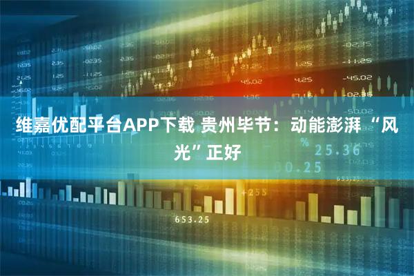 维嘉优配平台APP下载 贵州毕节:动能澎湃 “风光”正好