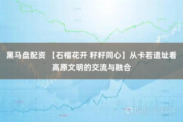 黑马盘配资 【石榴花开 籽籽同心】从卡若遗址看高原文明的交流与融合
